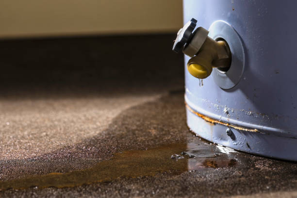Best Fire Damage Restoration  in White Pigeon, MI