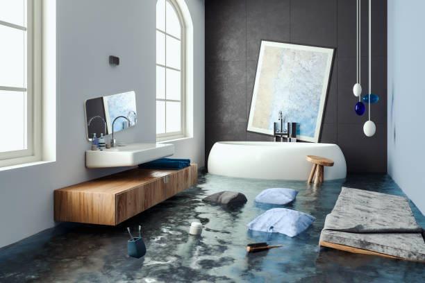 Best Residential water damage restoration  in White Pigeon, MI