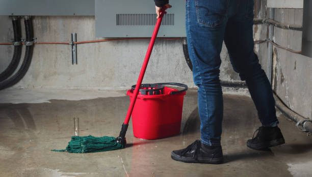 Best Sewage cleanup and water damage restoration  in White Pigeon, MI