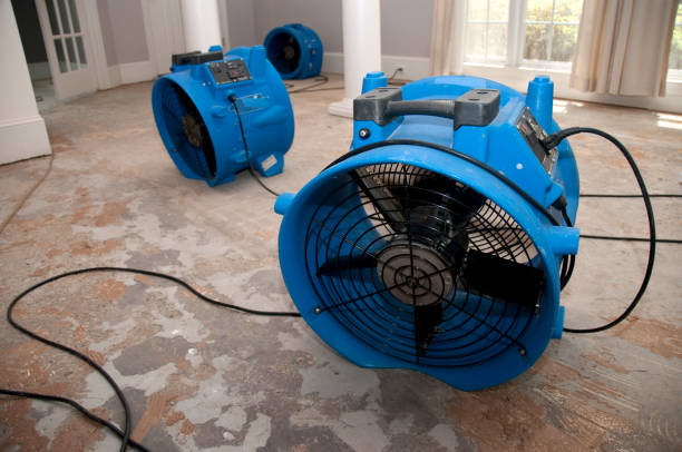 Best Ceiling water damage repair  in White Pigeon, MI