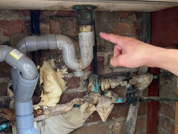 Best Mold removal after water damage  in White Pigeon, MI